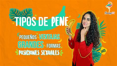 tamaños de penes fotos|Tipos de penes: Guía completa sobre formas y tamaños